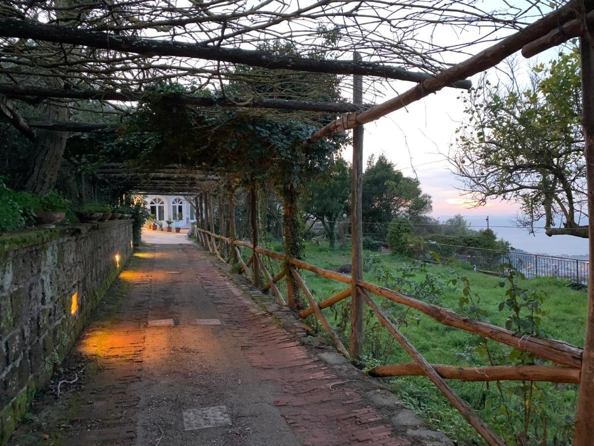Bed and Breakfast Sunrise Luxury Experience Piano di Sorrento Exteriér fotografie